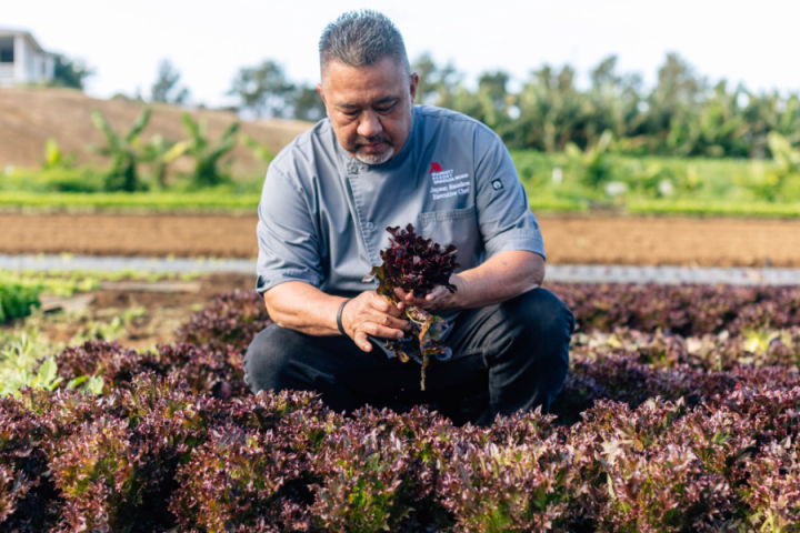 Person in chef attire kneeling in a field, holding lettuce with crops and trees in the background.